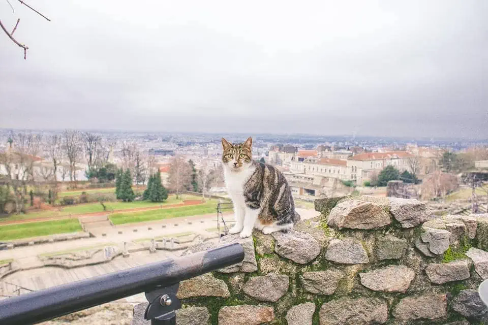 Veduta della città di Lione in Francia