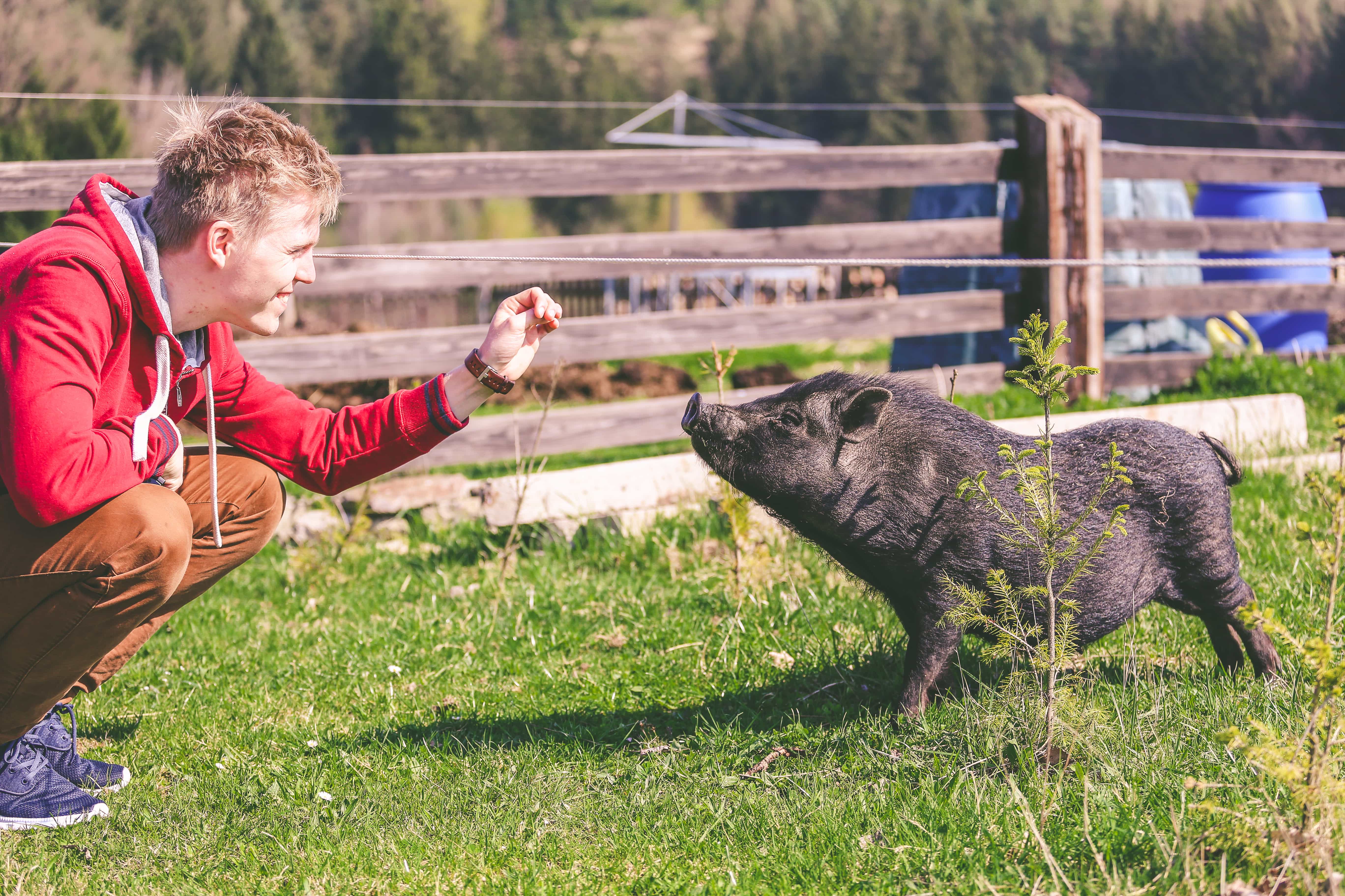 ubytování zdarma couchsurfing