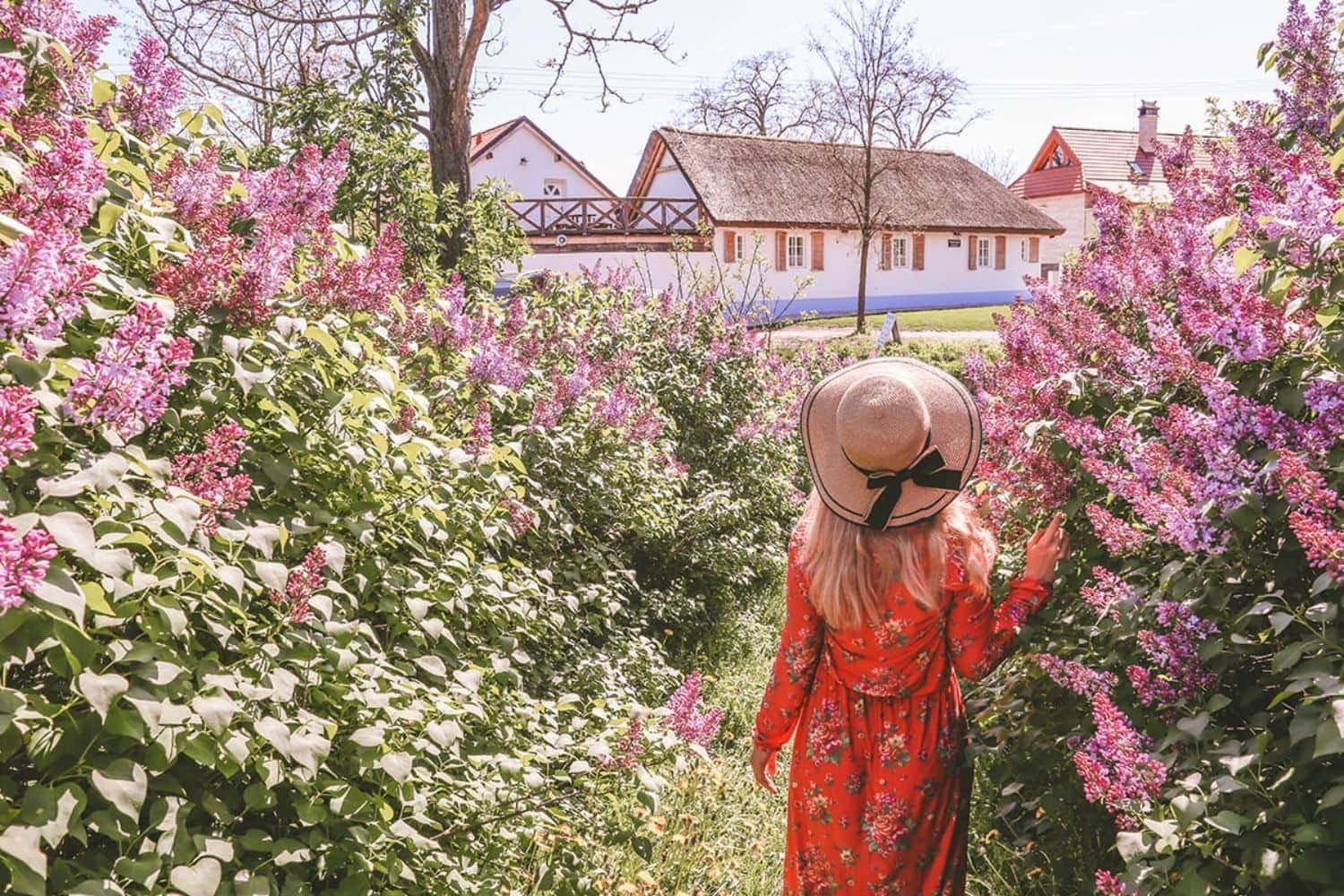Pastuska u Mikulova