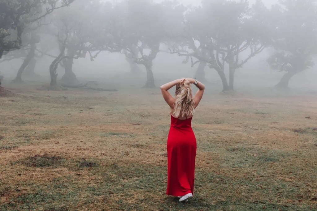 Fanal Forrest na Madeiře