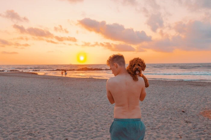 Cestovanie so psami v Albánsku