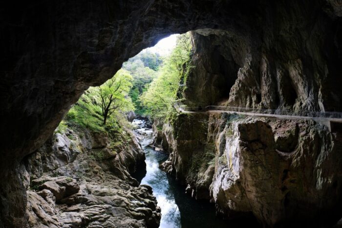 Kras i jaskinie Škocjan w Słowenii