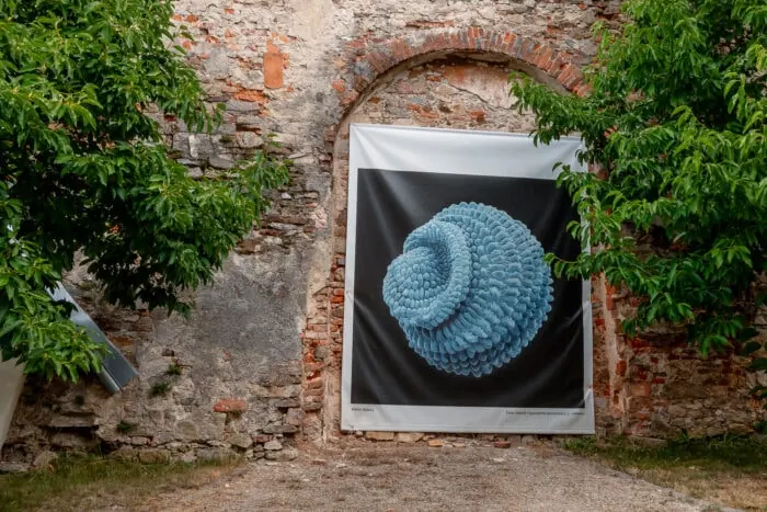 Muzeum fotografie má i krásný park 