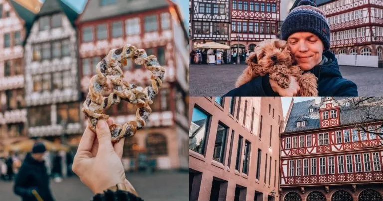 Que voir à Nuremberg : Monuments, zoo et delphinarium