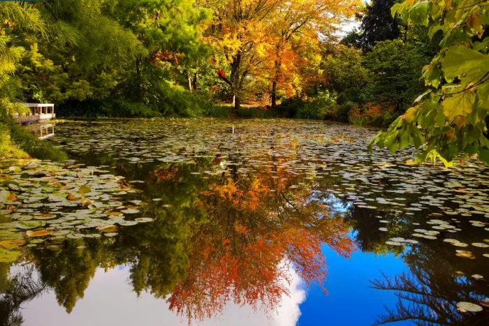 VanDusen Botanical Garden