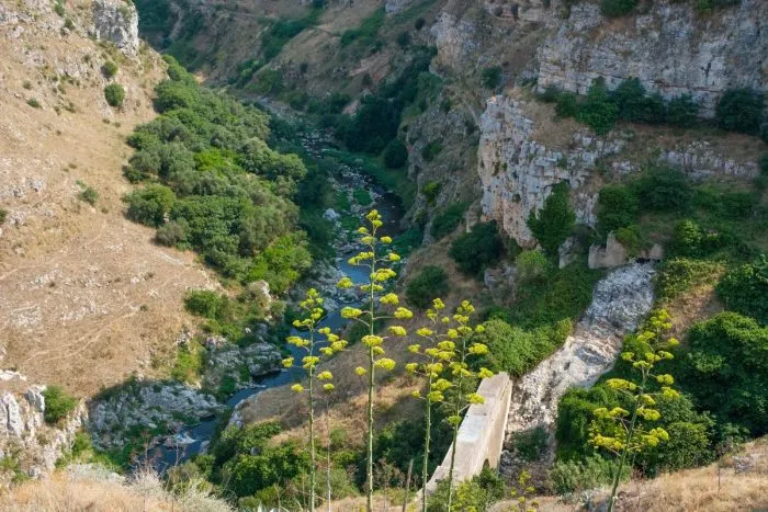 Nature in Matera