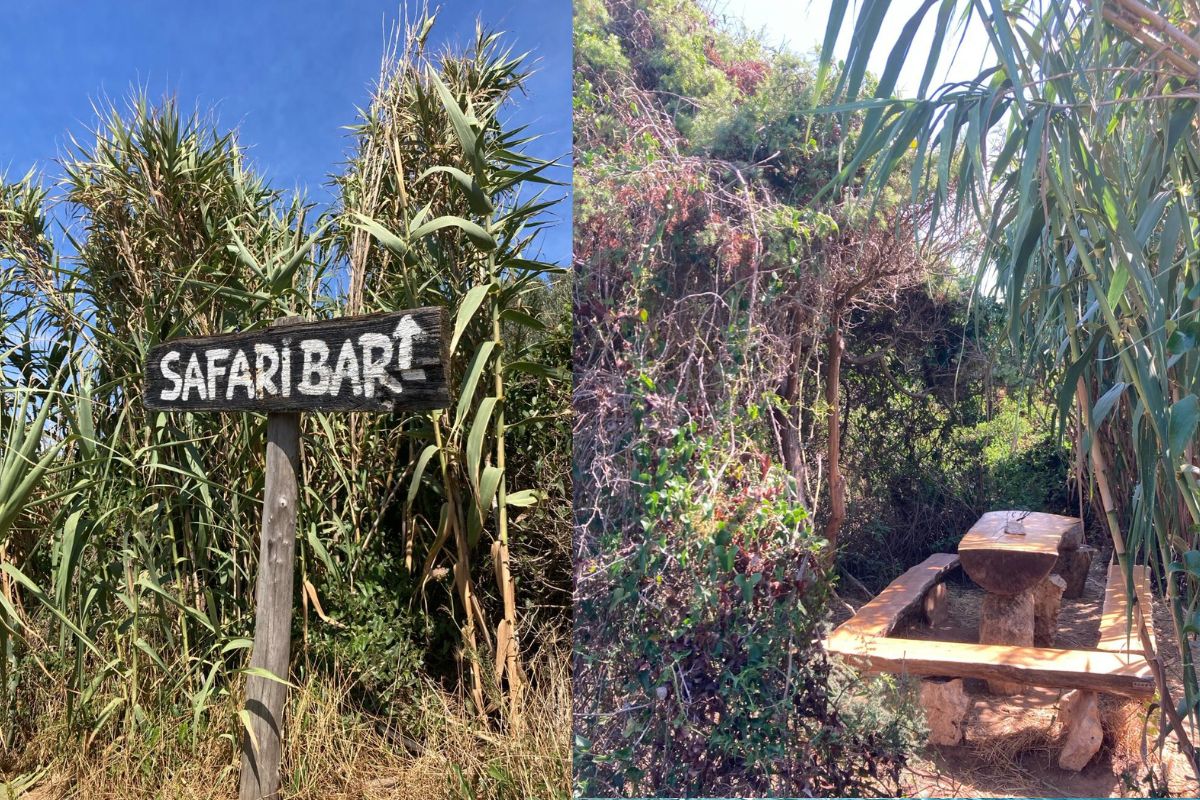 Safari bar je ukrytý mezi stromy a křovisky.
