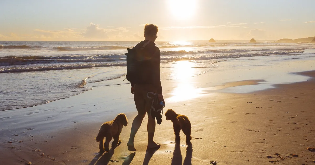 Una de las playas más bonitas del Algarve - Praia Rocha en Portimão