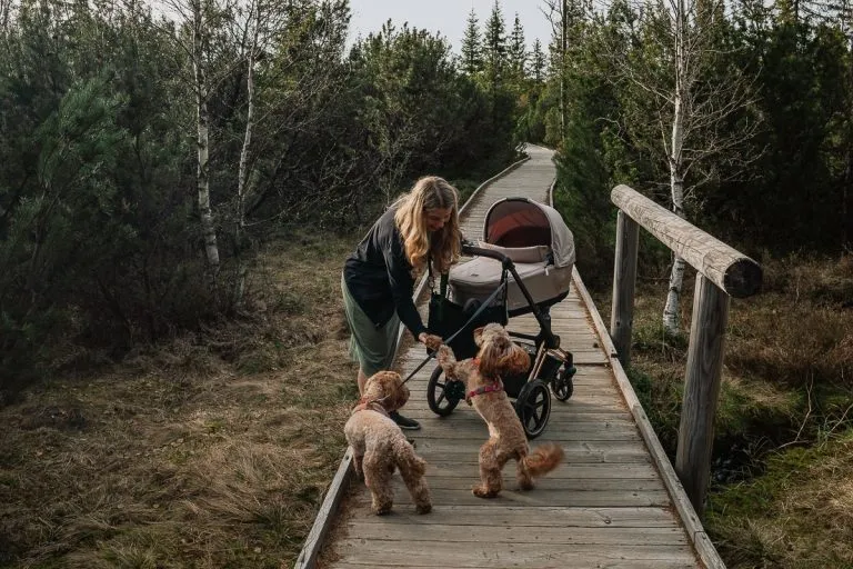 Šumava s kočárkem