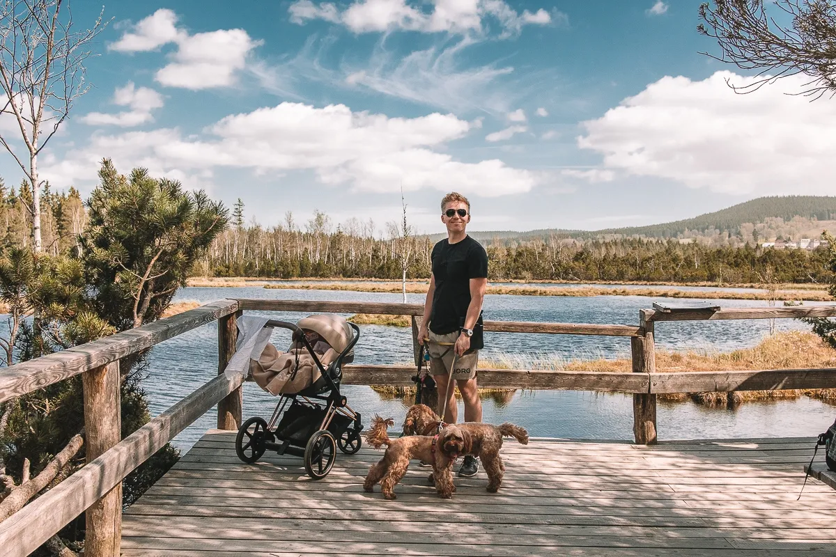 Šumava con cochecito – Turbera Chalupská slať