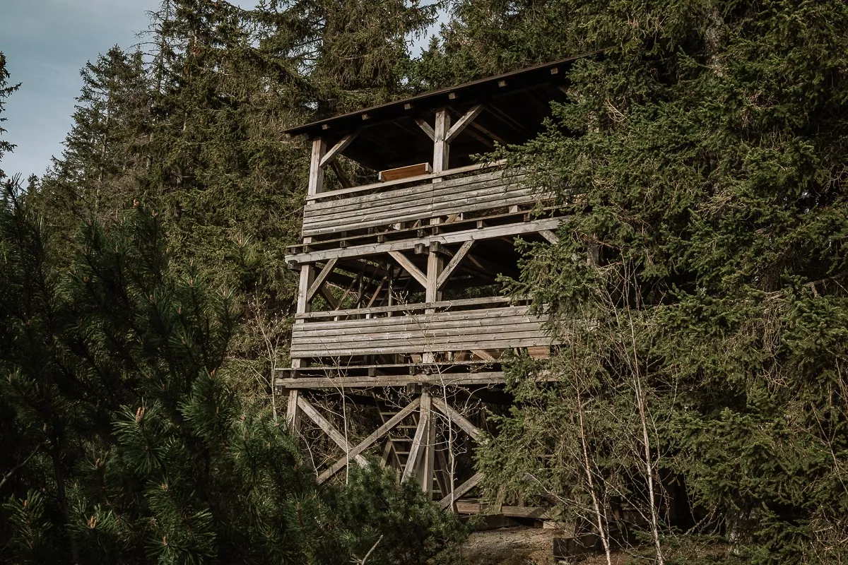 Šumava con cochecito – Turbera Jezerní slať