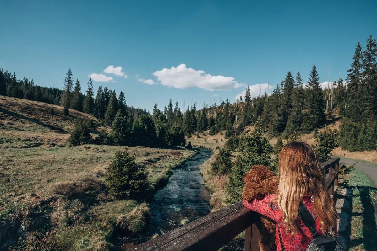Modrava con cochecito