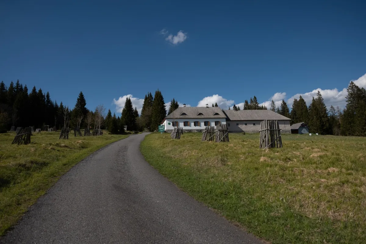 20 idées de vacances en République tchèque en 2026 4 Šumava