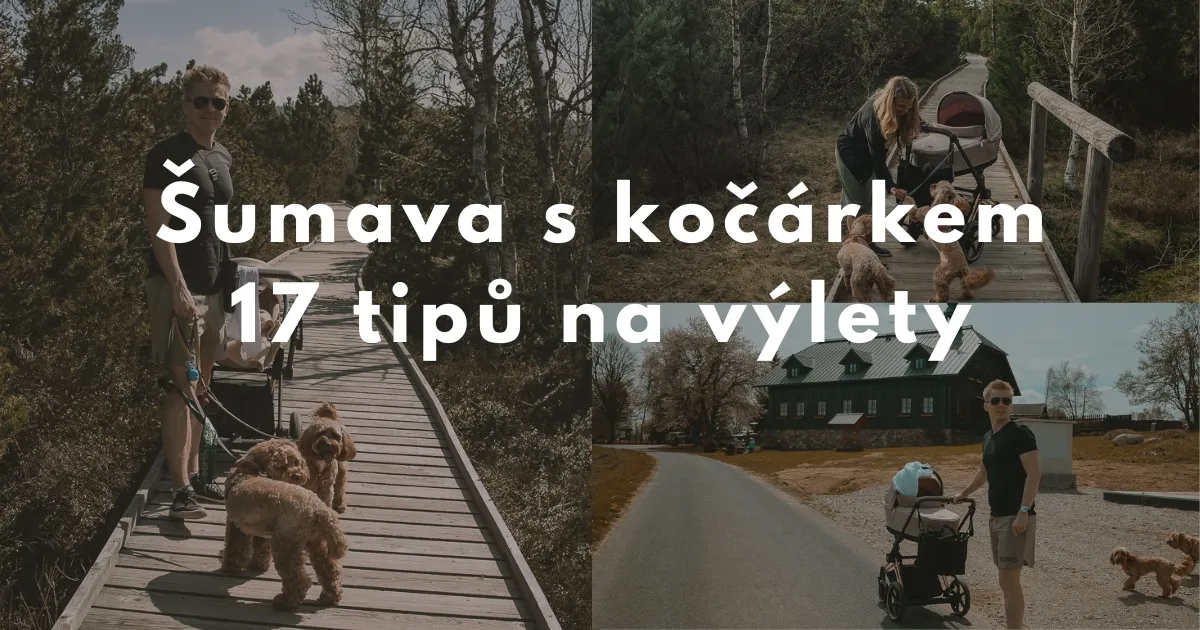 Šumava República Checa con cochecito