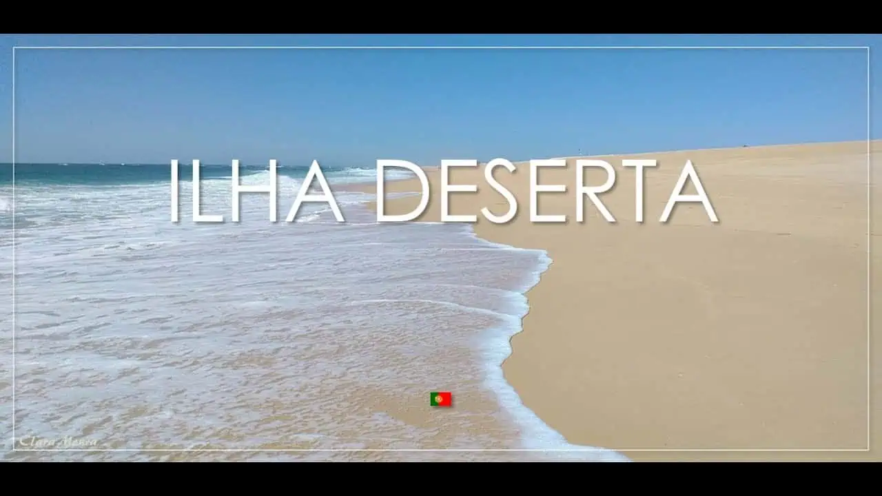 Albufeira, Portugal: Beaches & Tips on What to See 17 Have a blast at Zoomarine Algarve