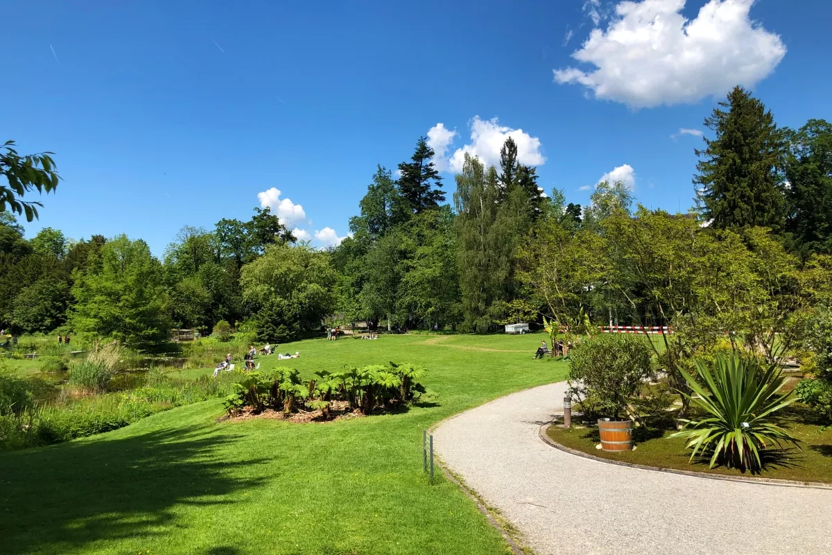 Orto botanico di Zurigo