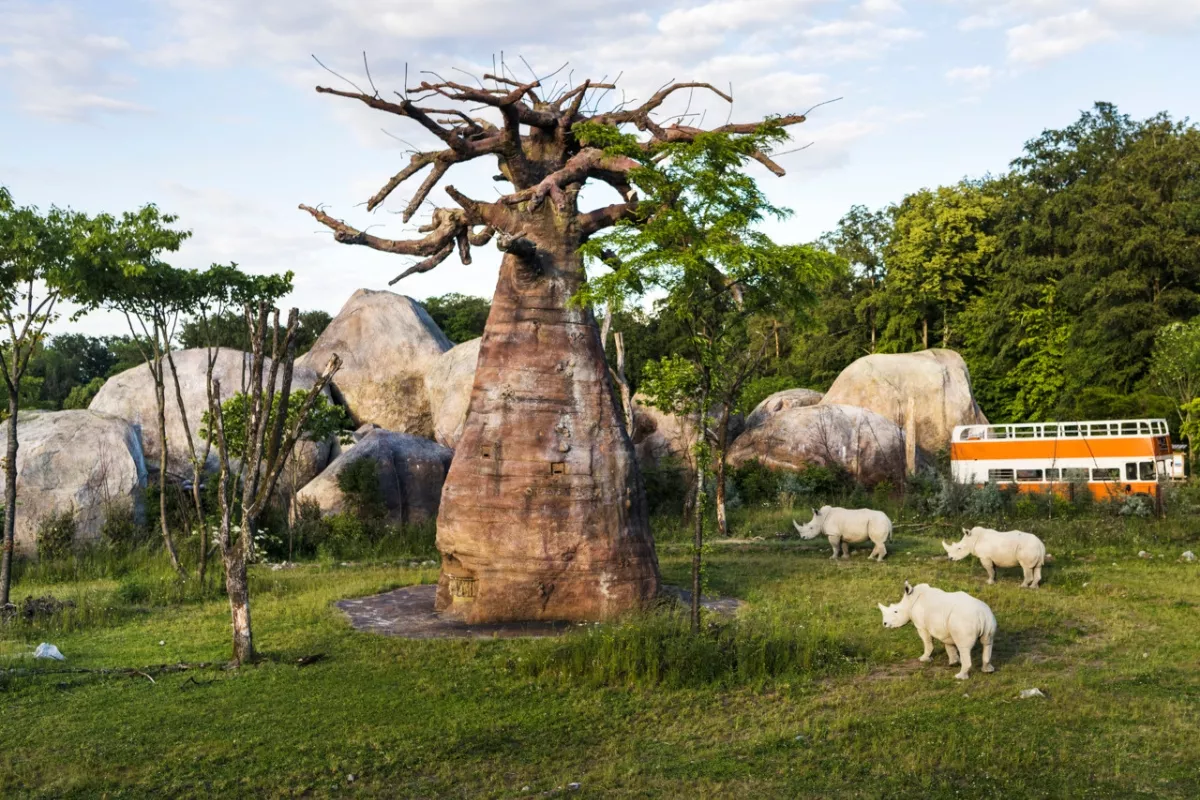 Vale la pena visitare lo zoo di Zurigo? Assolutamente sì!