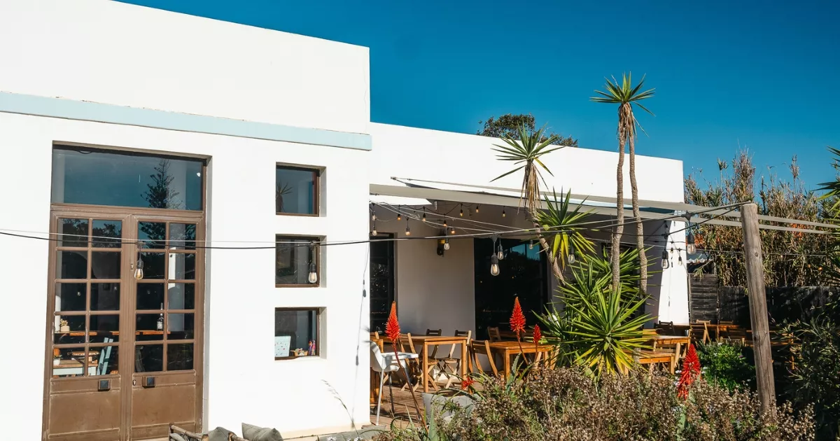 Three Little Birds v Sagrese