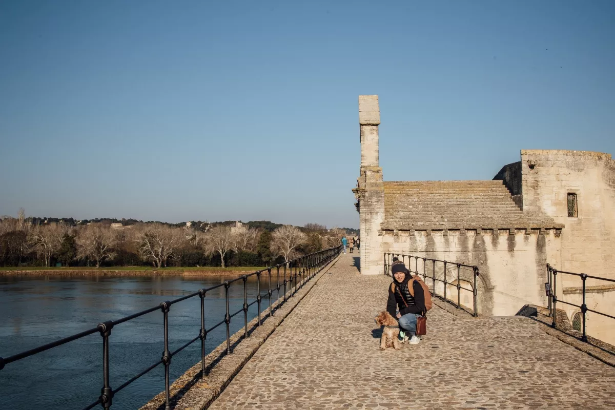 Puente de Avignon