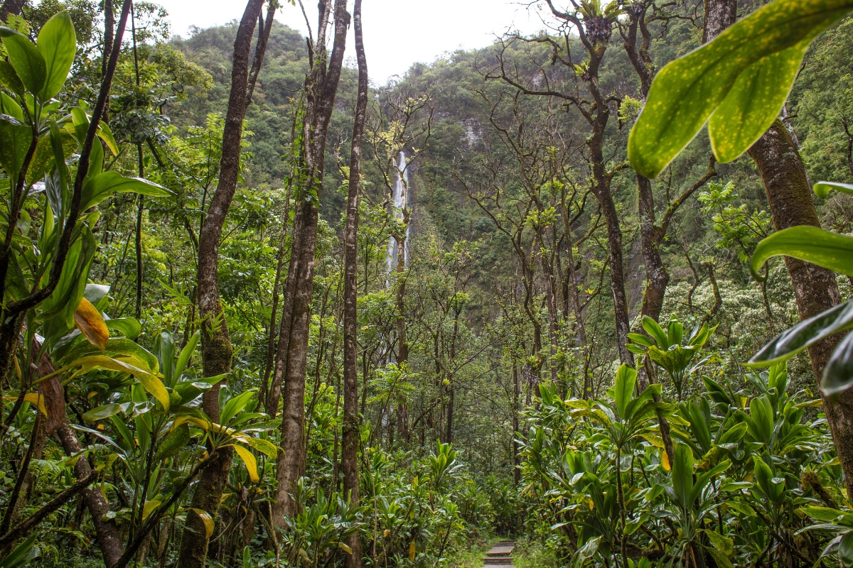 waimoku falls na Havaji na Maui