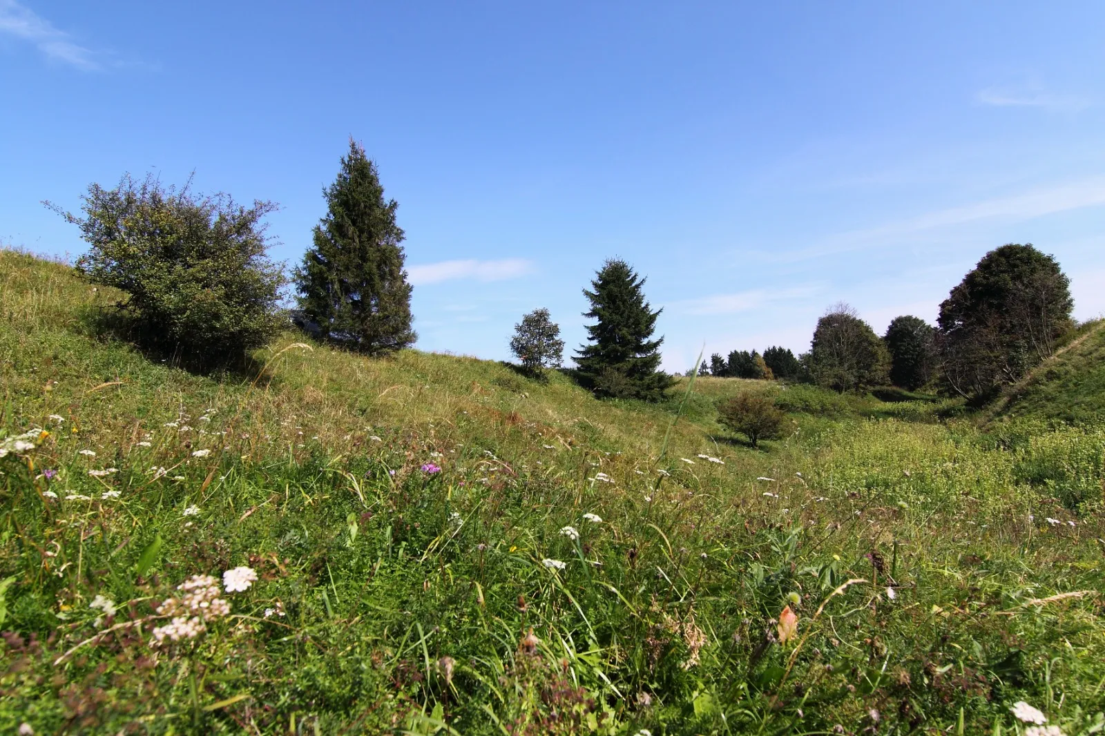 20 idées de vacances en République tchèque en 2026 8 Žďárské Vrchy