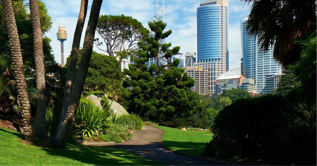 Sydney, Australia: 31 najlepszych rzeczy do zobaczenia i zrobienia 11 Ogród Botaniczny
