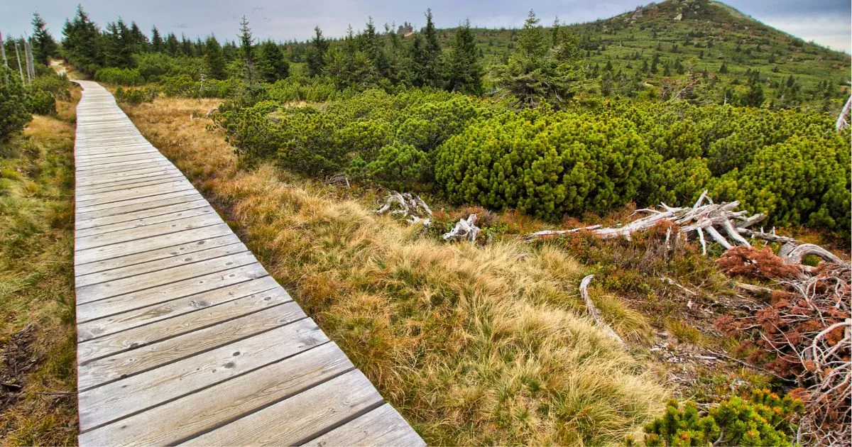 20 idées de vacances en République tchèque en 2026 7 Krkonoše