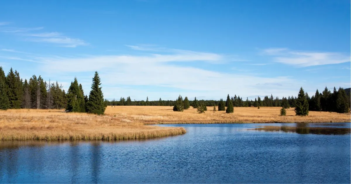 20 idées de vacances en République tchèque en 2026 13 Monts Métallifères (Krušné hory)
