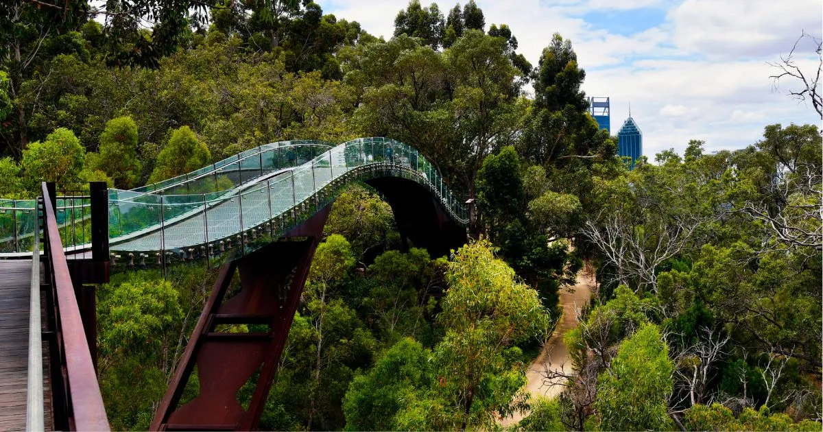 Perth, Australia: 18 Best Things to Do and See 4 Kings Park
