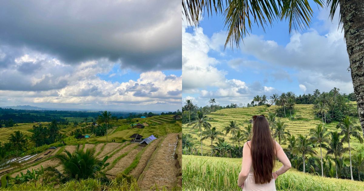 Jatiluwih Rice Terraces