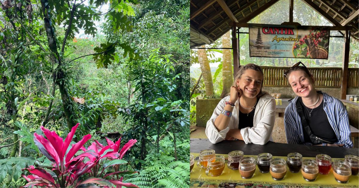 Coffee tasting at a coffee plantation