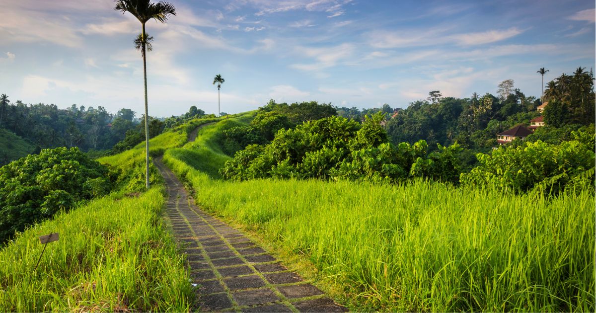 Campuhan Ridge Walk 