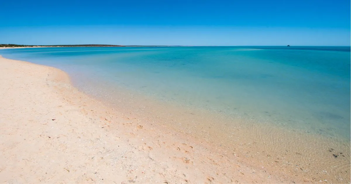 Západná Austrália: 7 najlepších miest na dovolenku 4 Monkey Mia