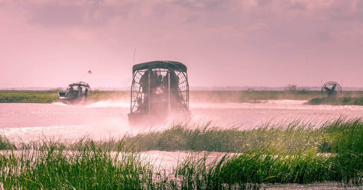 USA Florida 2026: 25 oplevelser, ruter og priser 11 Airboat på vådområderne i Everglades National Park