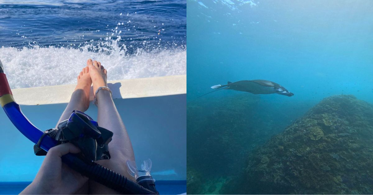 Snorkeling with Manta Rays