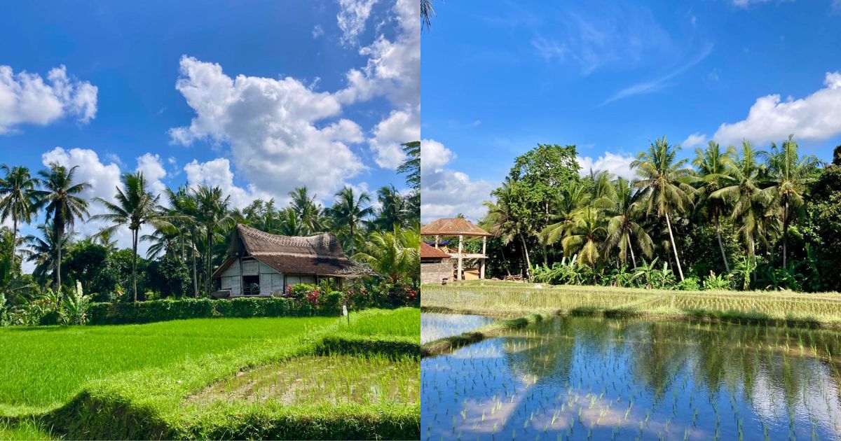 Ubud