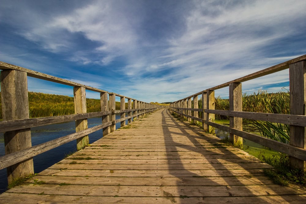 Insula Prince Edward: 13 lucruri de văzut și făcut în parcul național 8 Promenadă de lemn de-a lungul coastei în parcul național Prince Edward Island