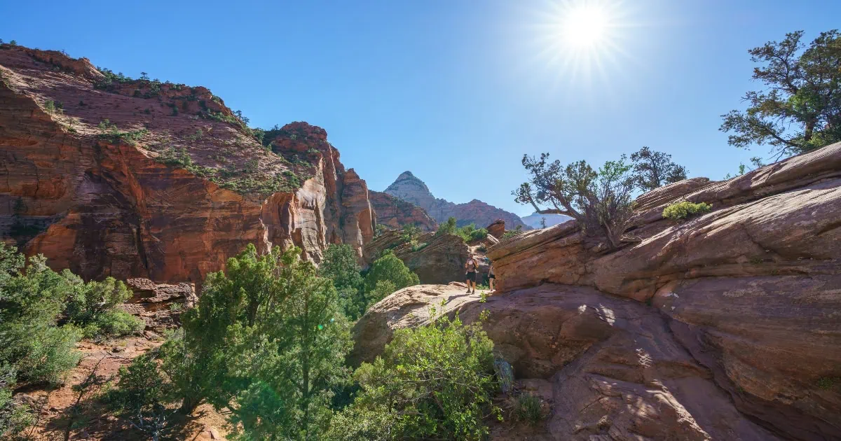 Canyon Overlook Trail Zion
