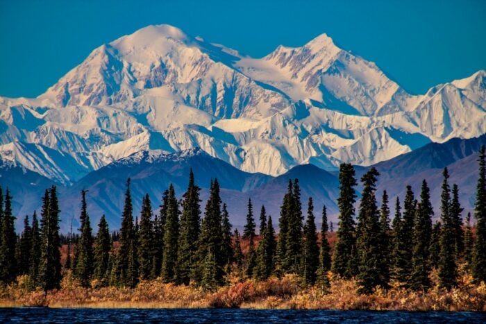 Aljaška roadtrip: Nejlepší itinerář na 7, 10, 14 a 21 dní 7 denali national park