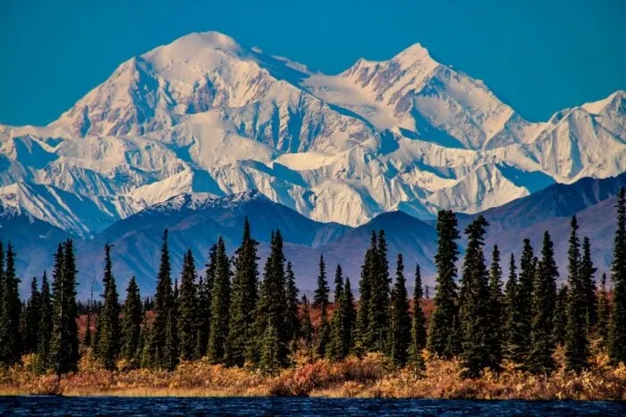 Aljaška roadtrip: Nejlepší itinerář na 7, 10, 14 a 21 dní 7 denali national park