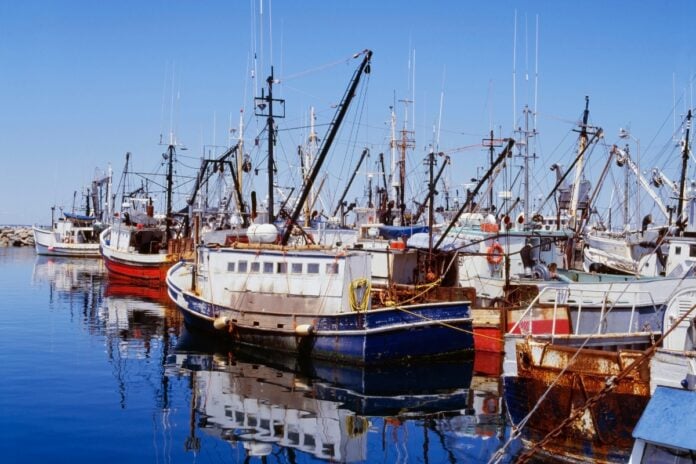 Co vidět a dělat v Digby v Novém Skotsku