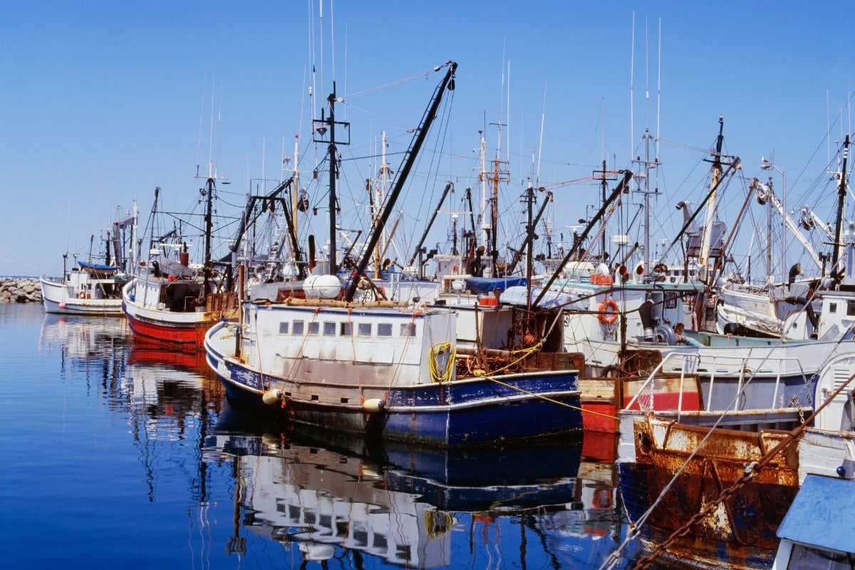 Co vidět a dělat v Digby v Novém Skotsku