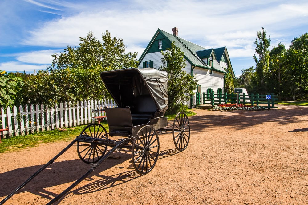 historicky kocur u domu