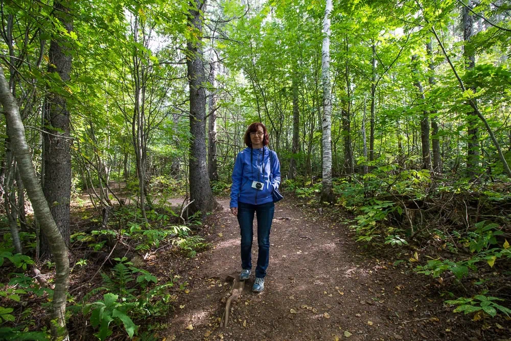 prochazka lesni cestou