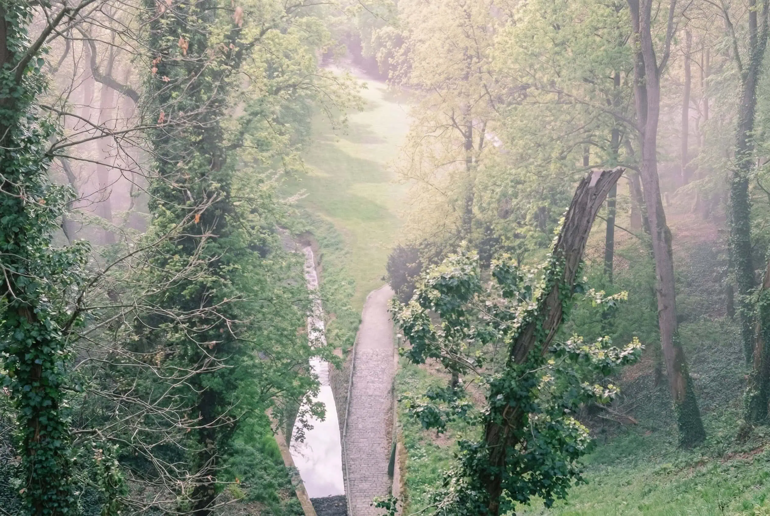 Fossé aux Cerfs près du Château de Prague