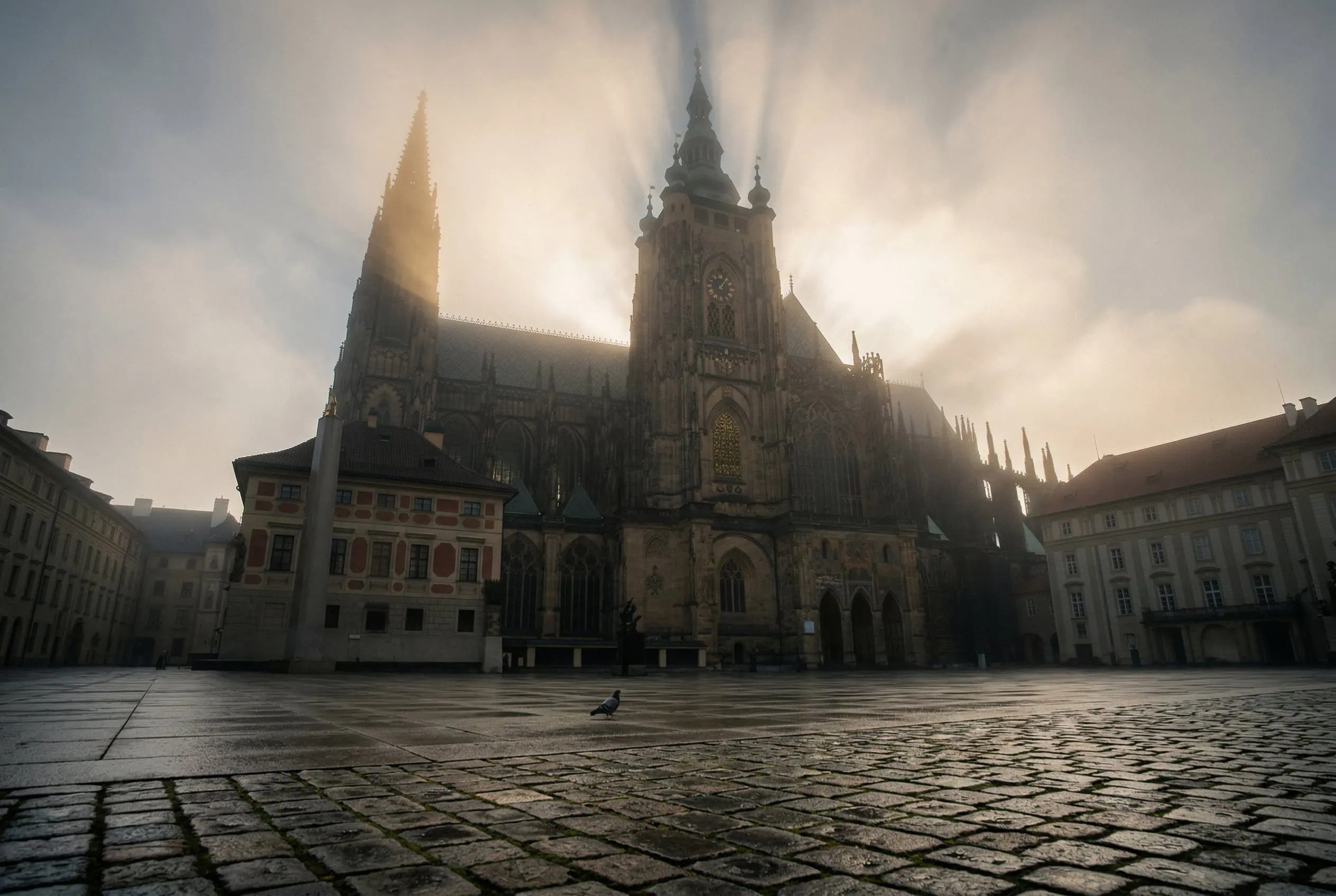 Katedrála sv. Víta v ranní mlze