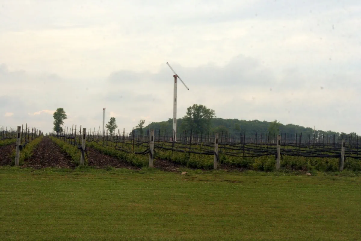 Bodega en Prince Edward County