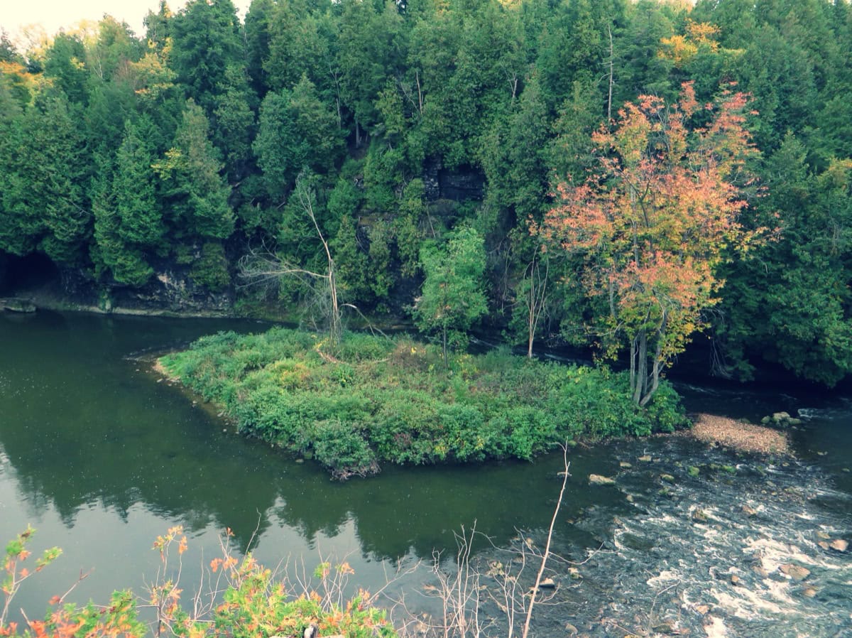 Ontário, Kanada: 35 tipů, co vidět a dělat 24 Elora Gorge v Ontáriu