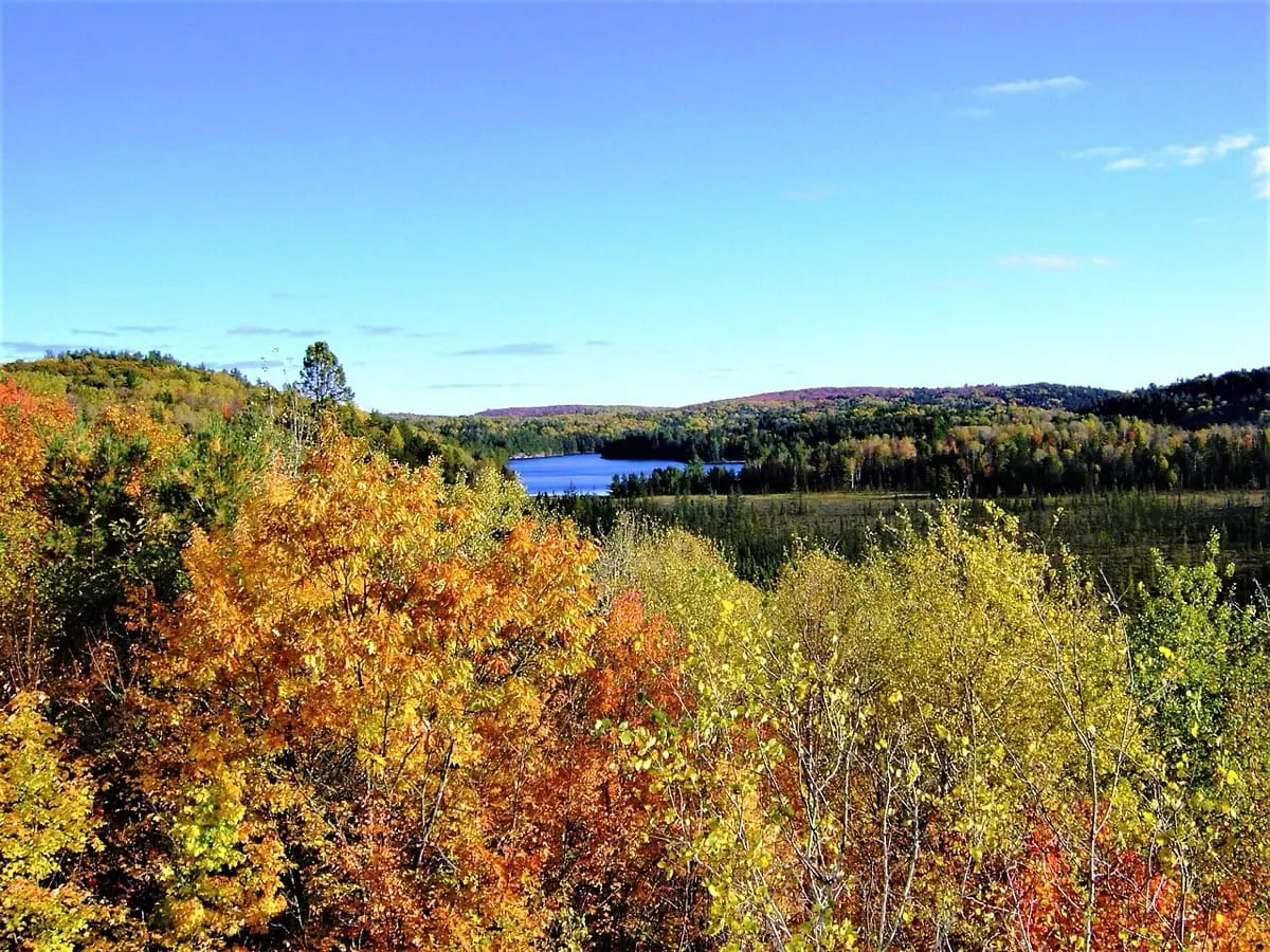 Ontário, Kanada: 35 tipů, co vidět a dělat 15 Podzimní barvy lesů v Algonquin Provincial Park v Ontáriu