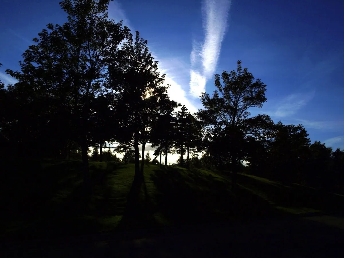 Verde e alberi maestosi nel Bowring Park a St. John's